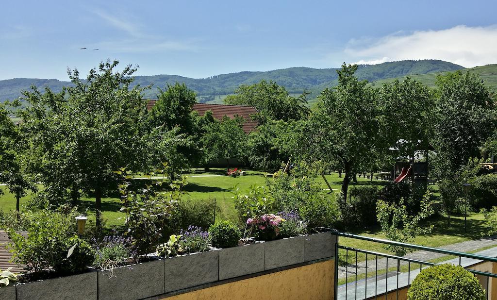 Donauwirt - Hotel Garni Вайсенкирхен ин дер Вахау Екстериор снимка