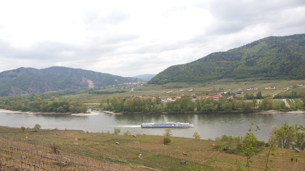 Donauwirt - Hotel Garni Вайсенкирхен ин дер Вахау Екстериор снимка